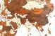Карты мира BROWN 235686249 фото 7